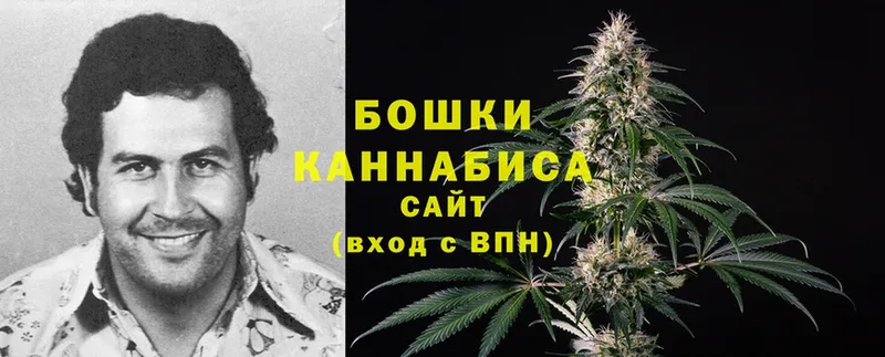 Бошки марихуана THC 21%  Покачи 